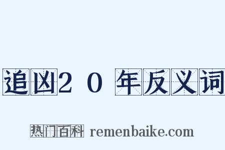 追凶20年反义词是什么意思的图片